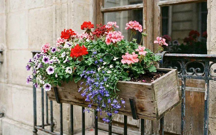 Bac à Fleurs Balcon Action : Trouvez le Meilleur Modèle pour Vos Plantes en 2026