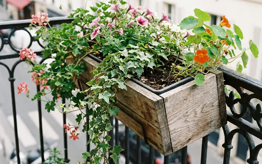 Bac Fleur Balcon Bois : Guide Complet et Comparatif des Meilleures Jardinières 2026