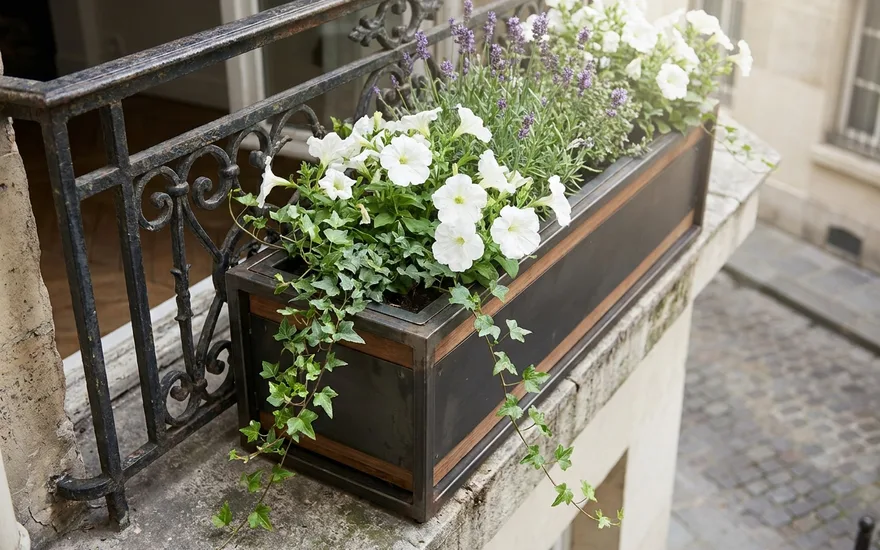 Bac Fleur Balcon Ikea : Comparatif complet et alternatives en 2026