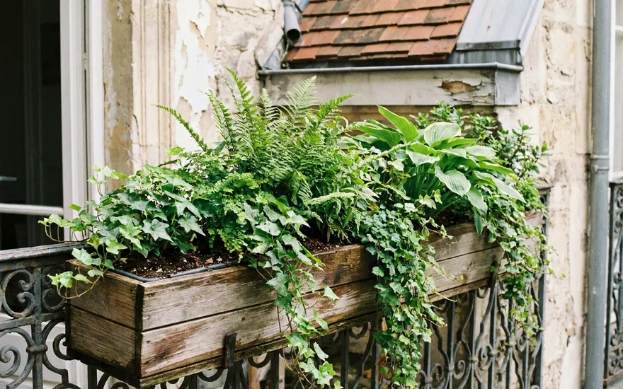 Bac Plantes Balcon : Guide Complet pour Bien Choisir en 2026