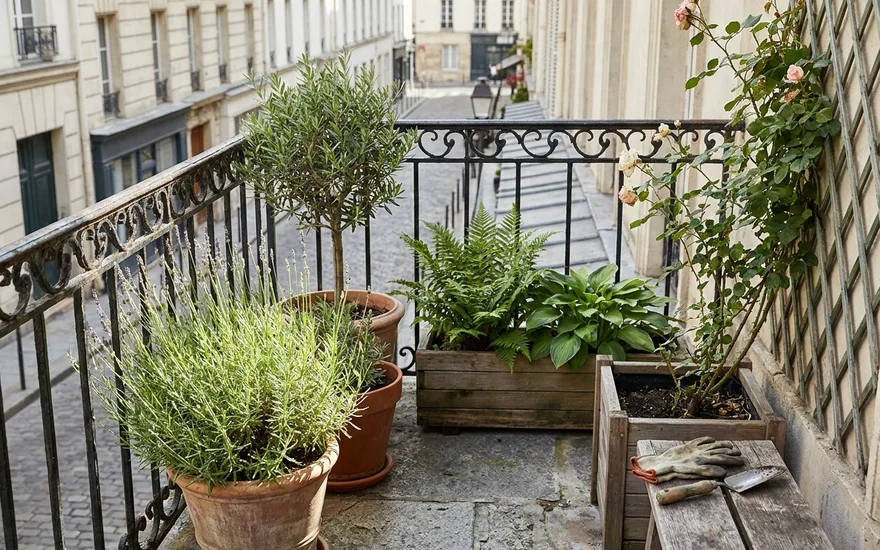 Comprendre l'exposition de son balcon : la clé pour choisir les bonnes plantes
