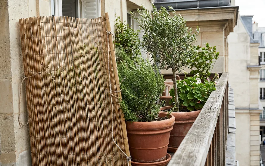 Protéger ses plantes du vent sur un balcon : solutions pour un balcon exposé