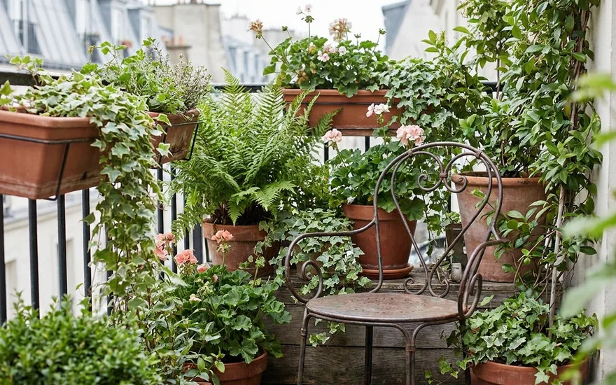 Jardin balcon : le guide complet pour créer votre oasis urbain en 2026