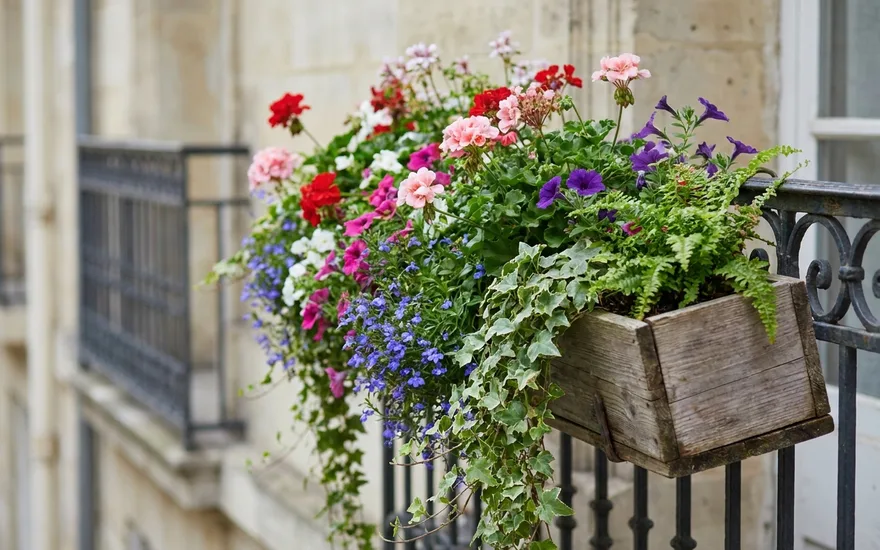 Jardinière balcon : guide complet pour choisir la meilleure en 2026