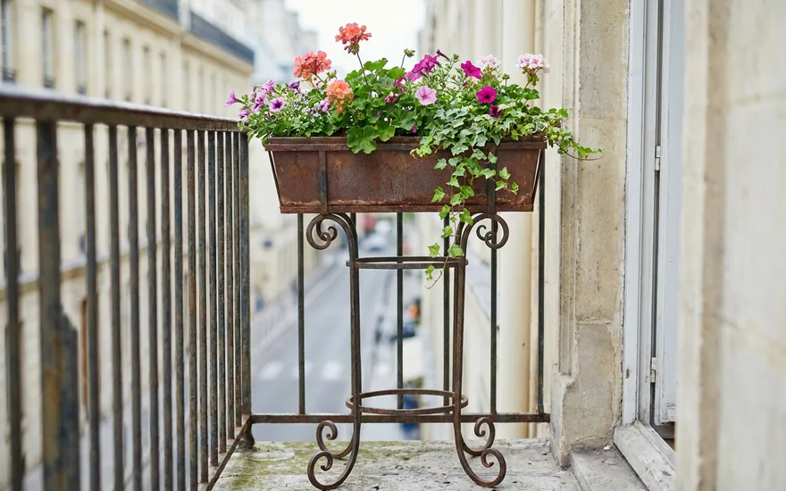 Jardinière Balcon avec Support : Guide Complet pour Aménager Votre Espace Urbain en 2026