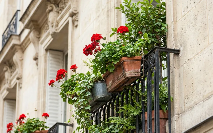 Meilleures plantes balcon Paris 2026 : Guide complet avec jardinières intelligentes