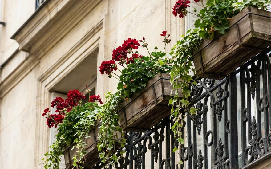 Quelle Plante Balcon Paris ? Guide Complet pour Végétaliser Votre Espace en 2026