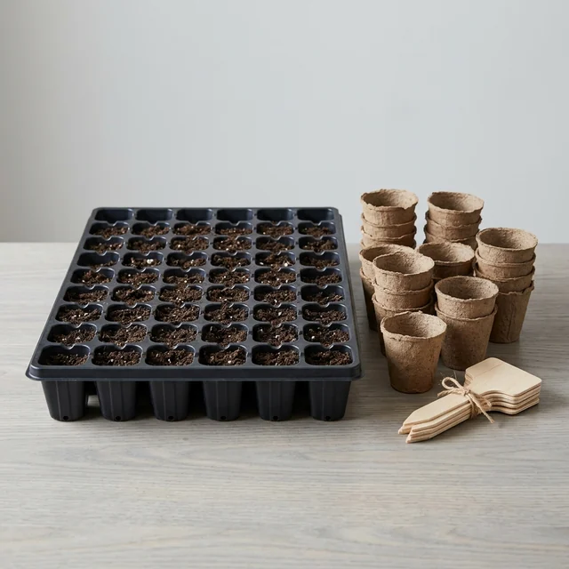 Illustration (potager)