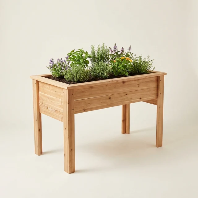 Illustration (potager)