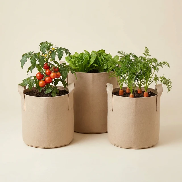 Illustration (potager)